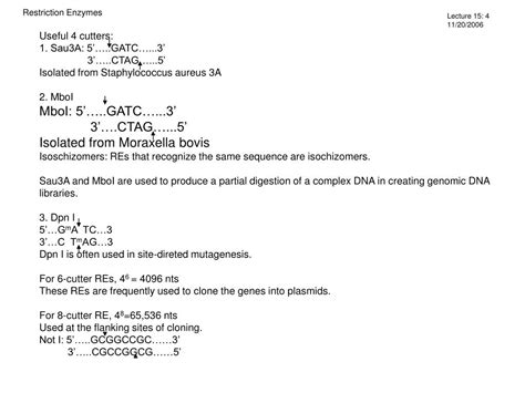 PPT - Restriction Enzymes PowerPoint Presentation, free download - ID ... 