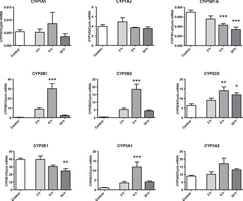 Time Dependent Induction Of Hepatic Cytochrome P Enzyme Activity And