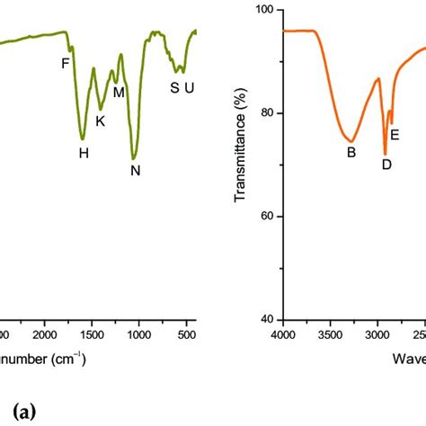 Fourier Transform Infrared Spectroscopy Ftir Spectrum Of A The Download Scientific Diagram