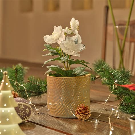 Vinterfint Artificial Potted Plant In Outdoor Christmas Rose Cm