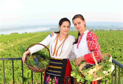 Best Wine Tasting & Tours in Northwest Bulgaria, Danubian Plain ...