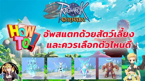 ROO Ragnarok Origin Ep 5 How To อพสแตทดวยสตวเลยง ควรเลอกตวไหน