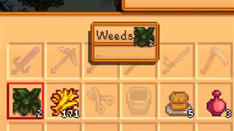 Weeds Stardew Valley