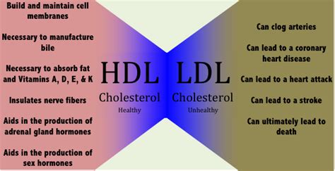 Apsroot Types Of Cholesterol