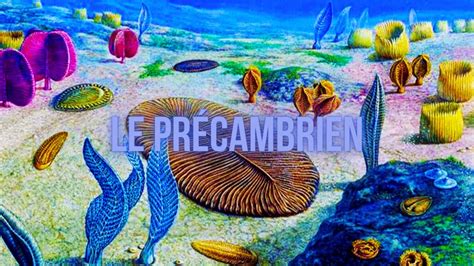 La Naissance De La Terre Le Pr Cambrien Youtube