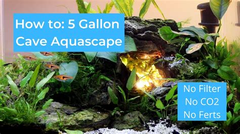 5 Gallon Cave Aquascape Tutorial With Blue Shrimp Youtube