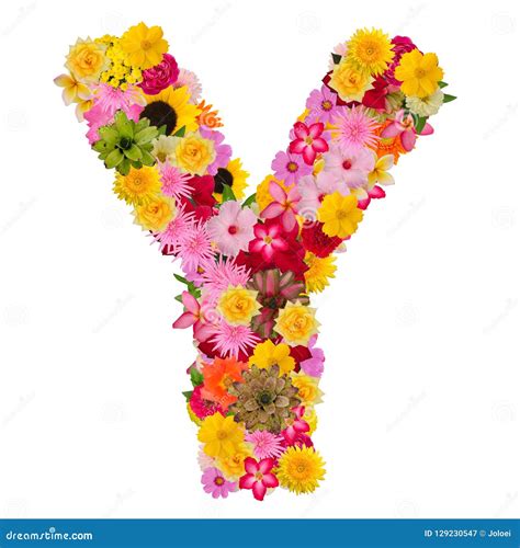 Letter Y Alphabet With Flower ABC Concept Type As Logo Isolated Stock