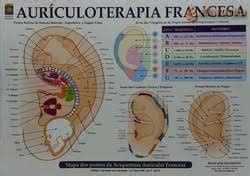 Mapa Aur Culo Acupuntura Francesa Pl Astificado J Ji En Moto