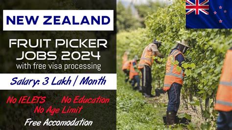 High Paying Fruit Picking Jobs In New Zealand Working In How To Apply