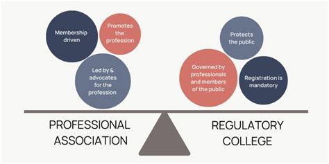 The Role Of A Health Regulatory College Versus A Professional Association Pacific Audiology Group