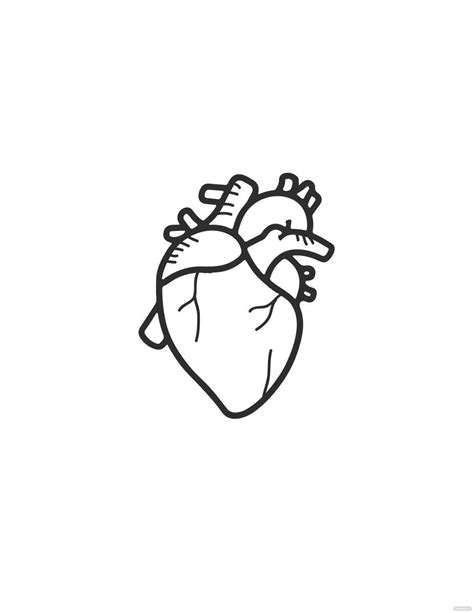 Human Heart Drawing For Kids in PDF, Illustrator, JPG, EPS, SVG, PNG ...