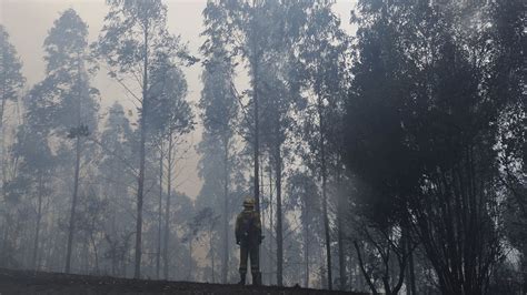 El Año Acaba Con Dos Tercios Menos De Hectáreas Arrasadas Por El Fuego