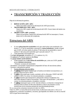 P C Tema Claves Respuestas De Primer Parcial De Biologia Cbc