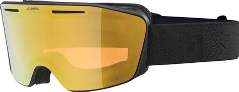 Alpina Nendaz Q Unisex Skibrille SportFits Shop