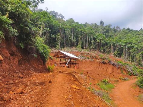 Gakkum Klhk Tersangka Kasus Penggunaan Kawasan Hutan Tanpa Izin Di