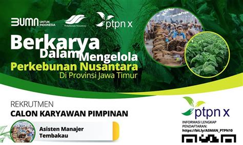 Lowongan Kerja PT Perkebunan Nusantara X