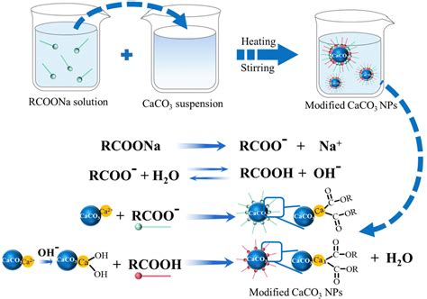 Calcium Carbonate Controlled Synthesis Surface Functionalization And