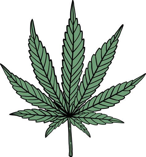 Simplicity Cannabis Leaf Freehand Drawing Flat Design 12300730 Png