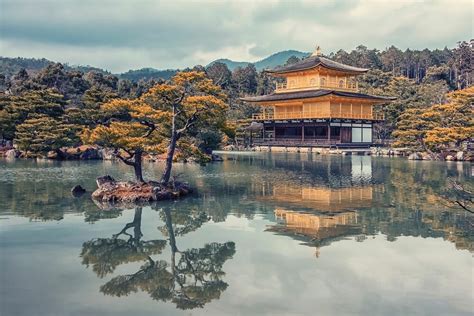 KINKAKU JI YellowKorner Prague