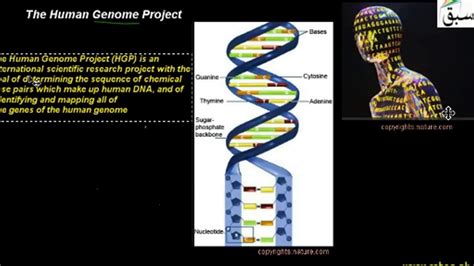 The Human Genome Project Biology Lecture Sabaqpk Youtube