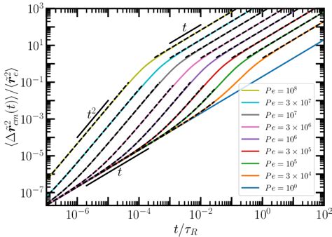 Normalized Center Of Mass Mean Square Displacements Rr Cm T As