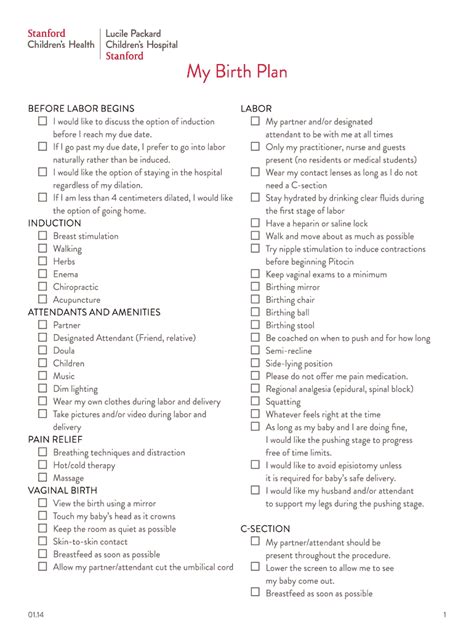 Birth Plan Form Printable Printable Forms Free Online