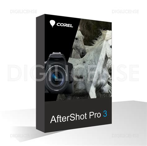 Corel AfterShot Pro 3 1 Device Perpetual License