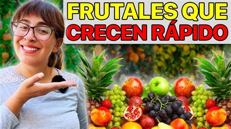 Plantas frutales que sobreviven con poca agua fácil y delicioso