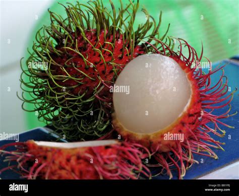 Rambutan fruit Thailand Stock Photo - Alamy