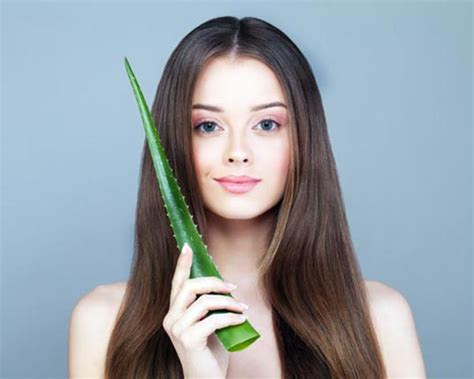 Amazing Aloe Vera Uses You Should Know Femina In