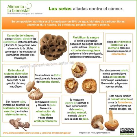 Setas Y Verduras Para Combatir El Cáncer