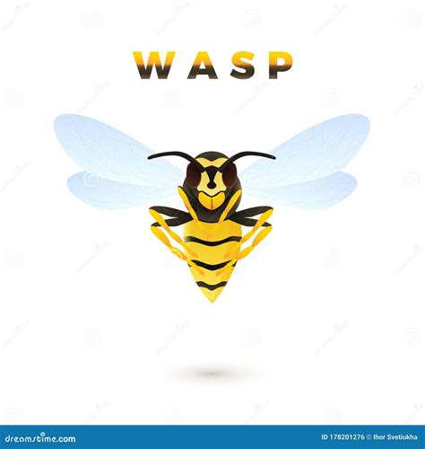 Wasp Cartoon Illustration Isolated On White Background Predatory