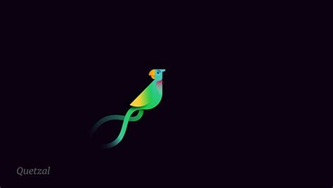 Quetzal Bird logo | Pet logo design, Unique logo design, Logo design