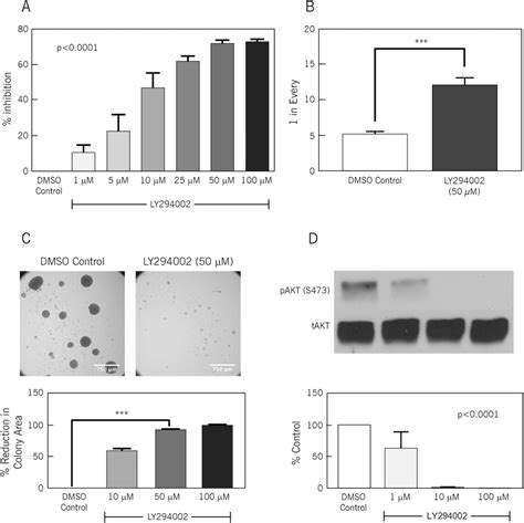 Ly294002 A Pi3k Inhibitor Inhibits Stem Cell Frequency And