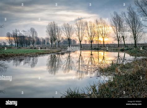 Cricket Bat Willow Trees Hi Res Stock Photography And Images Alamy