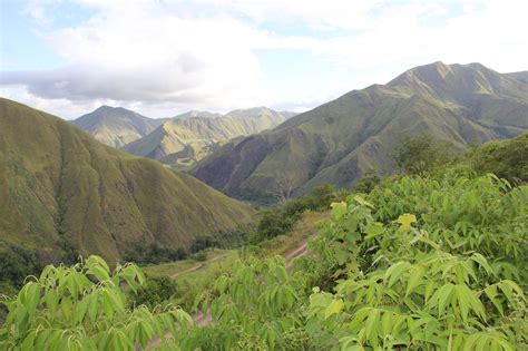 Papua New Guinea Lufa Single Farm From Eastern Highlands Covoya