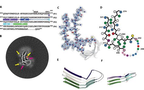 Heparin Induced Tau Filaments Are Polymorphic And Differ From Those In