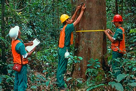 Invent Rio Florestal Consultoria Ambiental