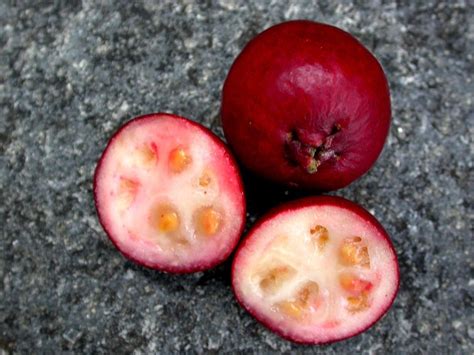 Frutas De La Costa Sierra Y Oriente Del Ecuador At Emaze Presentation