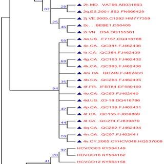 Phylogenetic Tree Of HCV Sequences From Mono Infection With Reference