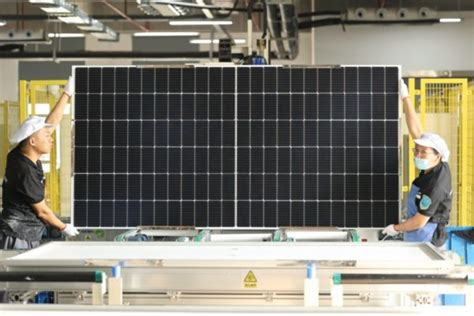 Dah Solar Releases 540 555 W Solar Modules With Frameless Frontside Pv Magazine Australia