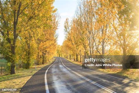 435 South Bathurst New South Wales Stock Photos High Res Pictures And