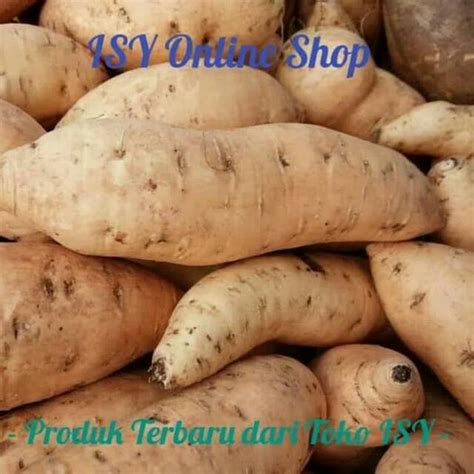 Jual Ubi Cilembu Ubi Madu Asli Bandung MENTAH BERHADIAH Shopee