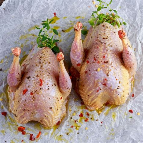 Pheasant (each) - Cini Tal-Mija Gozo