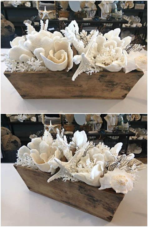 A Trough Full Of Seashells Beach House Decor Beach Crafts Beach