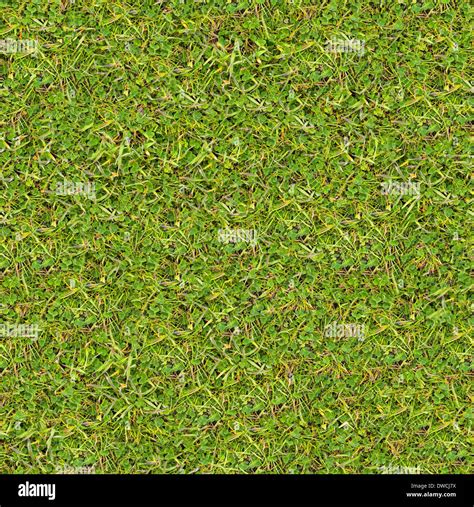 Tileable Grass Texture