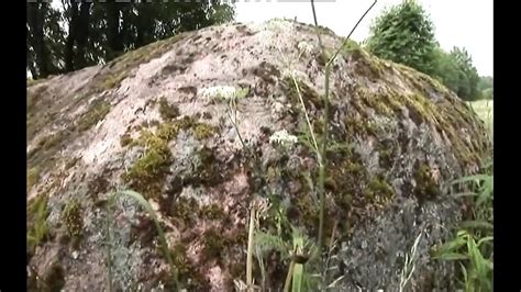 Ivan Cupala Free Analed HD Porn Video C XHamster XHamster