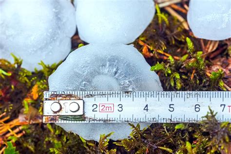 Huge 5 Centimeters of Hailstone in Lithuania, Europe Stock Image - Image of farmland, field ...