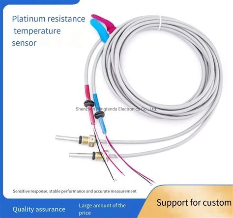 Manufacturer Platinum Resistance Pt Pt Thermal Resistance High