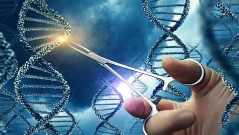 CRISPR-based treatment destroys cancer cells • healthcare-in-europe.com